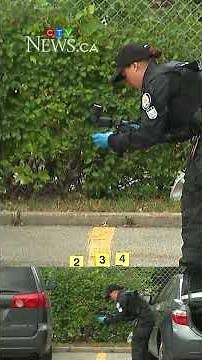 14-year-old boy charged with murder after woman, 71, fatally stabbed in Toronto