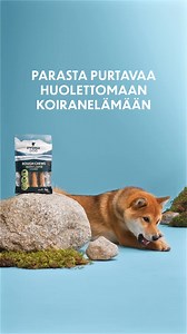 Rough Chews -puruluut valmistetaan Euroopassa laadusta tinkimättä. Osta tutut suosikit ja pureskeltavan hyvät uutuudet verkkokaupastamme. | PrimaDog Suomi