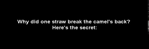 Mos Def - Mathematics (Lyrics Video)