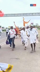 Warkaris from Nanded’s Mukhed taluka set out on their spiritual journey to Pandharpur for Ashadhi Ekadashi, carrying devotion, tradition, and unwavering faith on foot to honour Lord Vitthal. Location: Velapur, Pandharpur VC: Kirti Surve Parade #AshadhiEkadashi #AshadhiEkadashi2025 #maharashtra #news #Pandharpur #LordVitthal | MiD DAY