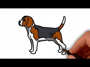 How to Draw a Dog Step by Step | Easy Beagle Drawing for Beginners | Bunty Brush