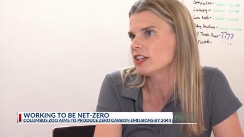 Zoo works to be net-zero