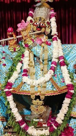 Vrindavan ke 7 Thakur Ji ke Darshan 🙏 | #shortsfeed #krishna #ytshorts #bhajan