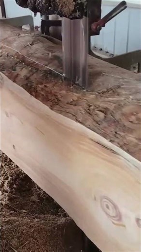 cutting large wooden logs into many thin and square wood slices with a sharp industrial machine tool