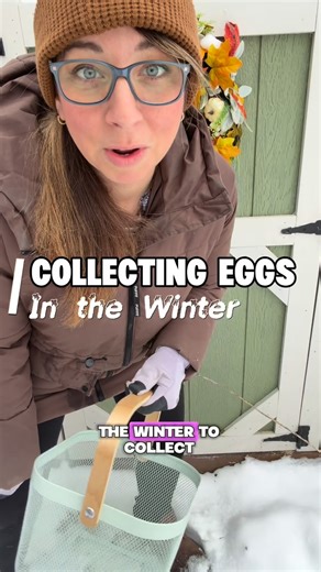 Nikki Husted on Instagram: "Anyone have cracked eggs yet? This week coming up looks cold for us so I’m expecting it!! #chickeneggs #eggs #chuckeneggbasket #frozeneggs #backyardchickens"
