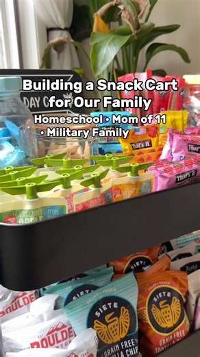 Snack Cart Ideas | Military & Homeschool Family of 13 ❤️