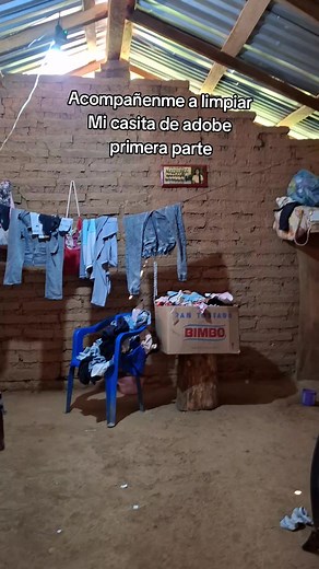 Limpieza casa de adobe: cómo limpiar mi casita (parte 1)