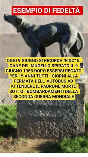 Fido simbolo di fedeltà