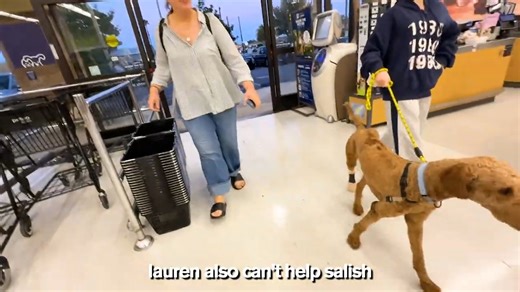 I Rescued a LOST DOG! Will I Keep Him? #jordanmatter #new #viral #video | Jordan Matter Lifestyle