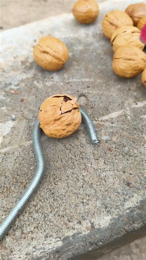 Use a hammer to break open the shell of the nut