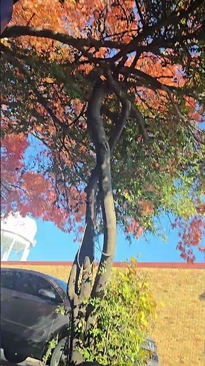 2011 ford edge power steering pump replacement