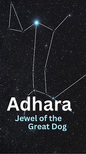 Adhara: The 22nd brightest star of the night sky. This binary system is near Sirius and located 430 light years away. #starrywonders #stargazing #learnthesky #nightsky #astronomy | Learn the Sky