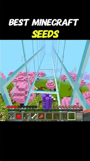 Best Minecraft seeds #minecraft #isurvived100daysminecraftinhindi