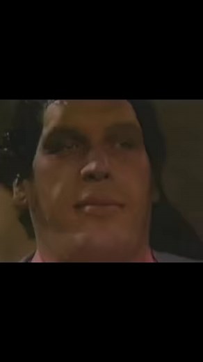 27K views · 272 reactions | On March 21, 1987 WWF Superstars aired from the Hara Arena in Dayton, Ohio. On Piper's Pit, WWF President Jack Tunney unveiled a new giant sized WWF Title that would fit Andre the Giant if he were to win the title from Hulk Hogan at Wrestlemania III in just eight days. Andre, with his manager Bobby “The Brain” Heenan, would eventually come out and grumble that the belt still was not big enough. | Davenport Sports Network | Facebook