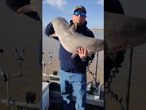 Muddy River Catfishing Guide Service 2021 highlights!