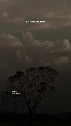 Seyi Vibez - Saro Lyrics and Vocal Performance