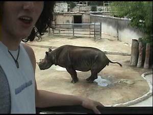 rhino poop