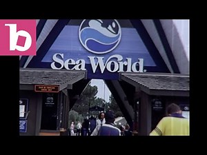 SeaWorld San Diego - April 1985