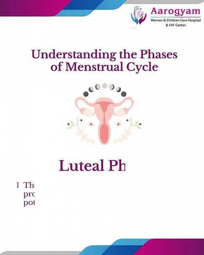 Understanding the Phases of Menstrual Cycle