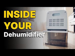 How Does a Dehumidifier Work? (A Simple Explanation)