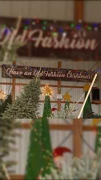 Starting a Christmas Tree Farm