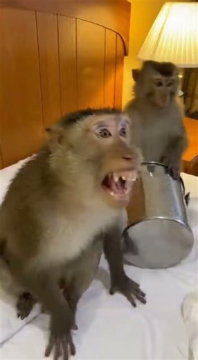 Unexpected swim class Laugh out loud moments #funny #swimming #comedy