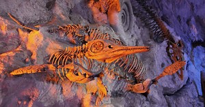 Why Rapid Extinction May Signal Devastating Consequences for the Ecosystem