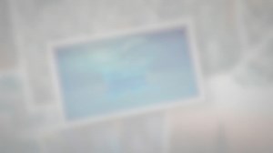 How Fast Can a Dolphin Swim?