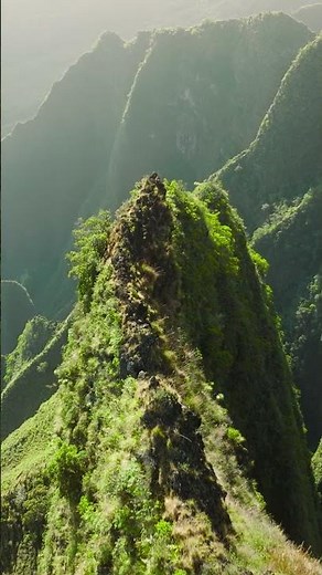 Relaxing Flute Music | Peaceful & Soothing | Zen Meditation music for Positive Energy