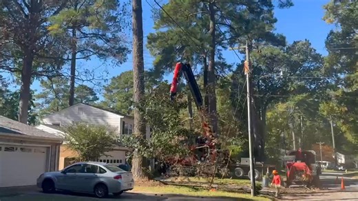 Marshall's Tree Service on Reels