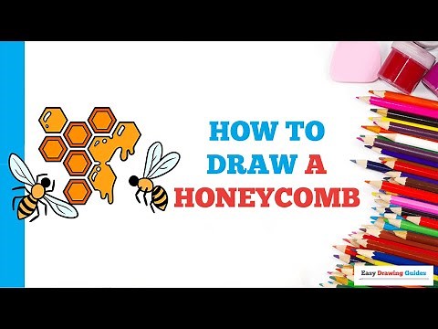 How to Draw a Honeycomb in a Few Easy Steps: Drawing Tutorial for Beginner Artists