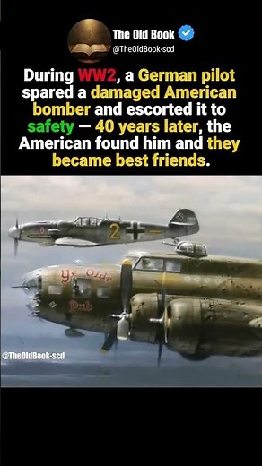 The Charlie Brown and Franz Stigler incident