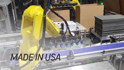 Cartoning and Case Packing | Automated Solutions