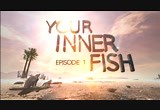 Your Inner Fish - Documentary : Free Download, Borrow, and Streaming : Internet Archive