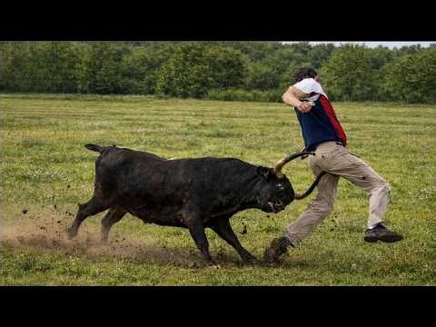 Try Not To Laugh Challenge 😂 Funniest Fails & Memes Compilation 2026 #13