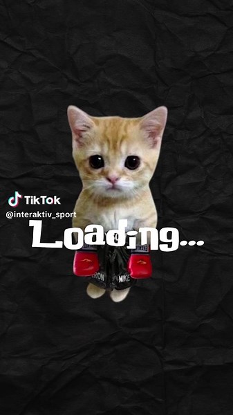 Kitty vs You: Engaging Interactive Cat Boxing