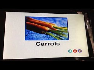 Baby McDonald 2004 DVD Menu WalkThrough