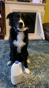 Heres some weekend vibes to put a smile on your face! | TeamCasp47