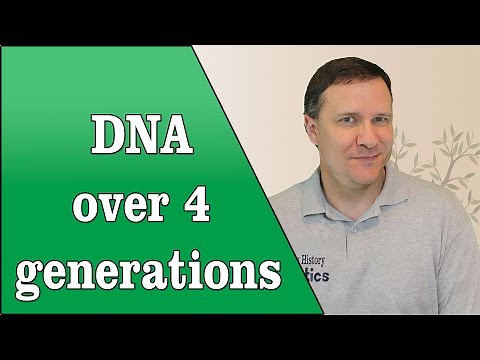 How DNA Changes Over 4 Generations | Understanding Genetic Inheritance
