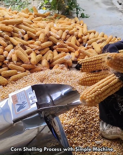 2.4K views | Corn Shelling Process with Simple Machine #CornShelling #ToolWork #SmartMachine #IndustrialProcess #PowerMotion | lamaestramiel | Facebook