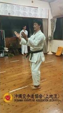 The ROOT of Uechi-Ryu