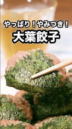 毎日でも食べたい毎食でも食べたい【大葉餃子】ジグザグジギーが作る大葉餃子は⬆️をクリック #お料理向上委員会 #大葉 #餃子 #晩ごはん