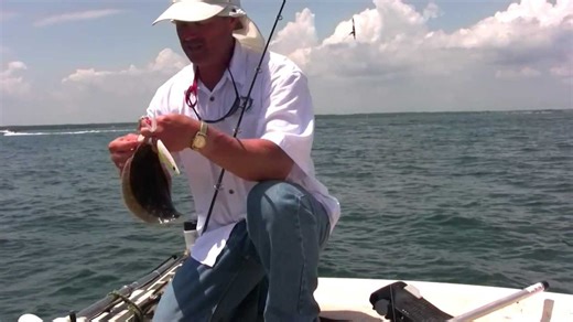 How to catch fluke when sea bass keep getting in the way