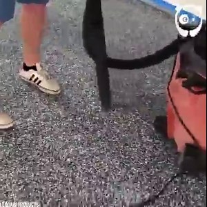 How to make paint chip epoxy floor By Leggari Products: youtube.com/channel/UCReiNw77Lw8Es5VMNekirrw Leggari Products | Crafty Panda