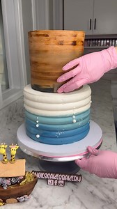 Noah’s Ark theme cake #noahsark #cakedecorating #cake #cakevideo #noahsarkcake | Angie's Cake's Bakery, LLC