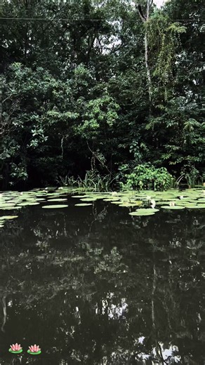 Bread & Circus on TikTok