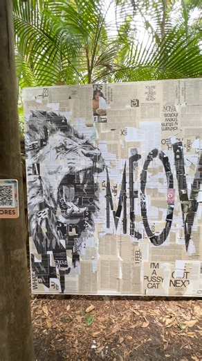 6.9K views · 151 reactions | Bold Murals at the Brevard Zoo is in full swing! Come by to see the incredible works created by local artists all throughout the Zoo. | Florida's Space Coast | Facebook