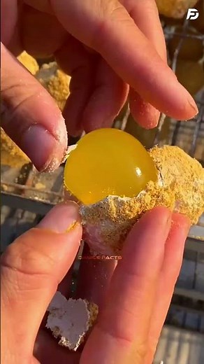 Boiled Eggs Can Actually Explode?! Here’s the Crazy Science Behind It