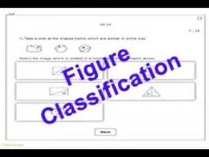 Understanding the CAT4 Non Verbal Figure Classification Test