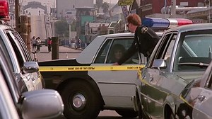 Ruthless.People.1986.web-dlrip_[1.46]_[teko]